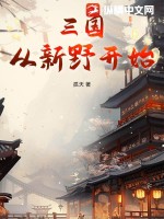  三国：从新野开始